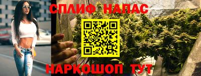 гидра Гагарин