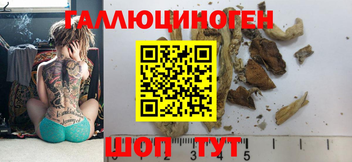 Калач-на-Дону  Псилоцибиновые грибы мухоморы  Вход с VPN  Псилоцибиновые грибы MAGIC MUSHROOMS 